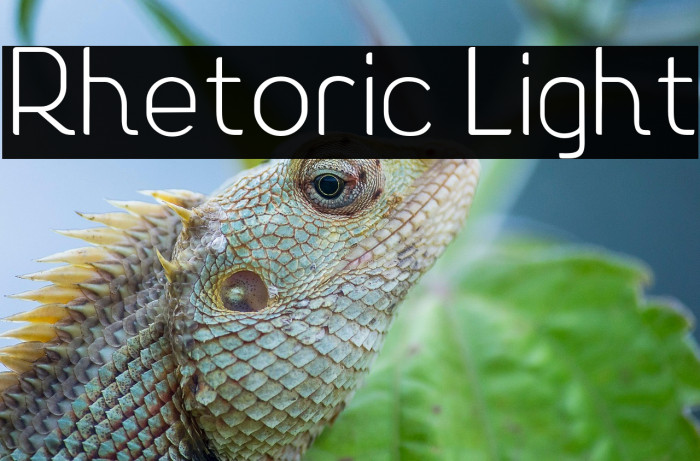 Rhetoric Light Example 3