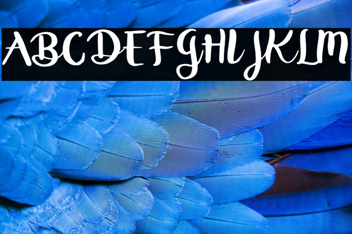 Rheydo Regular Example 1