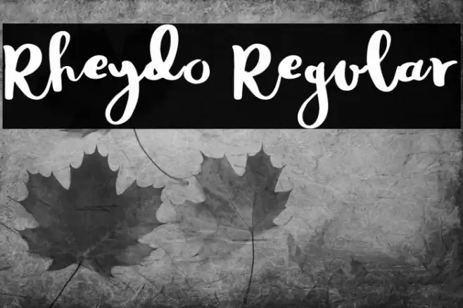 Rheydo Regular Font examples