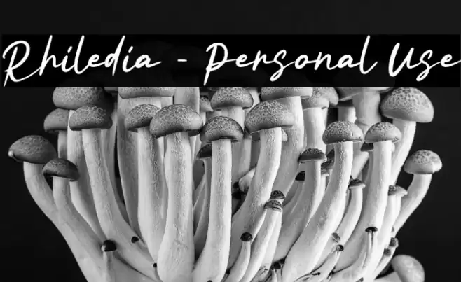 Rhiledia - Personal Use Font examples