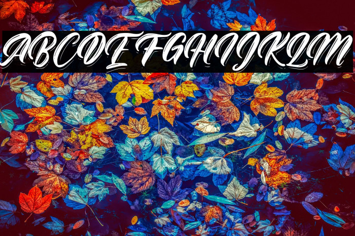 Rhinatta Script Example 2