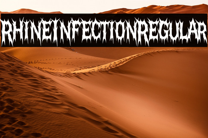 Rhine Infection Regular Example 1