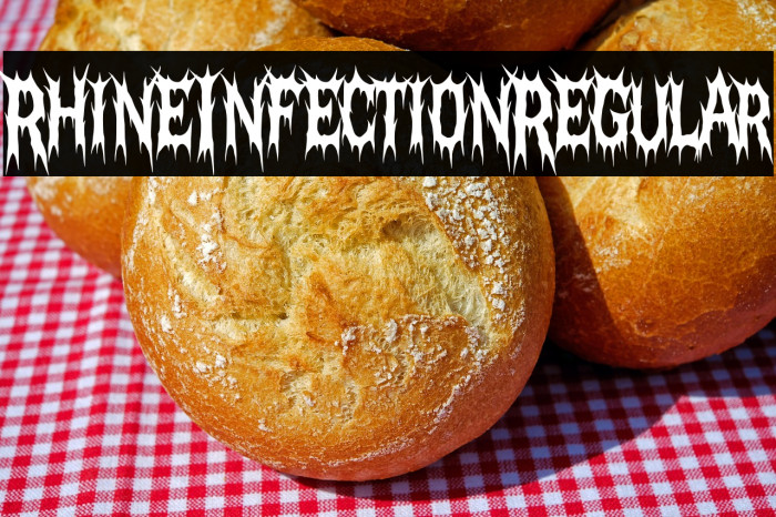 Rhine Infection Regular Example 2