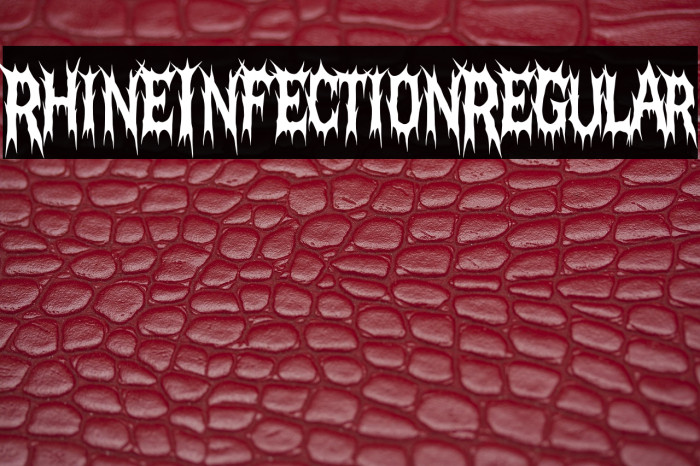 Rhine Infection Regular Example 3