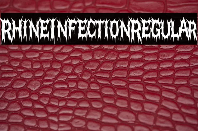 Rhine Infection Regular Example 3