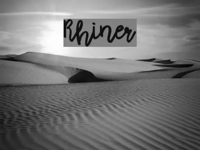 Rhiner Font examples