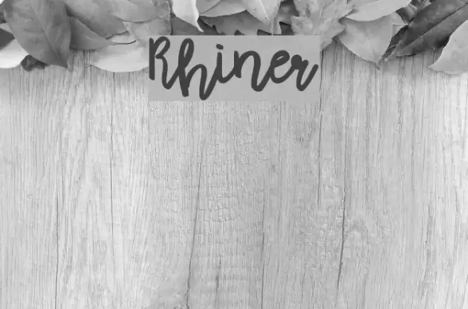 Rhiner Font examples