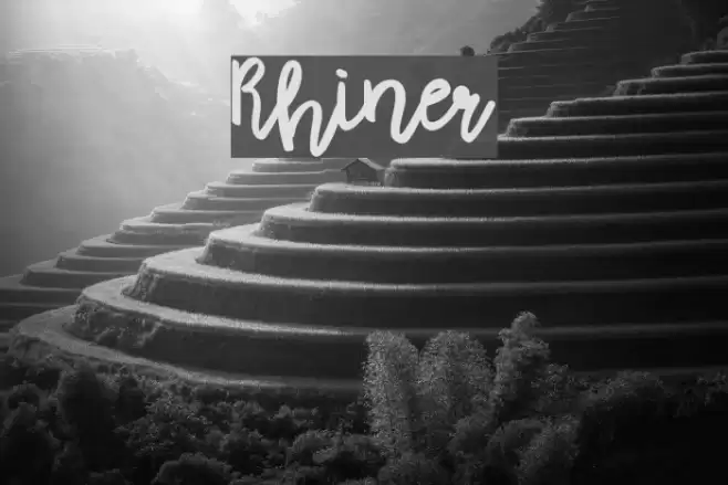 Rhiner Font examples