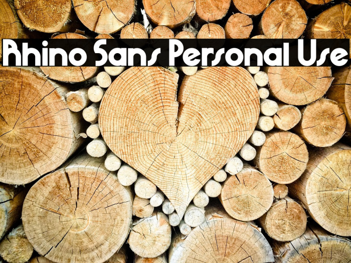Rhino Sans Personal Use Example 1
