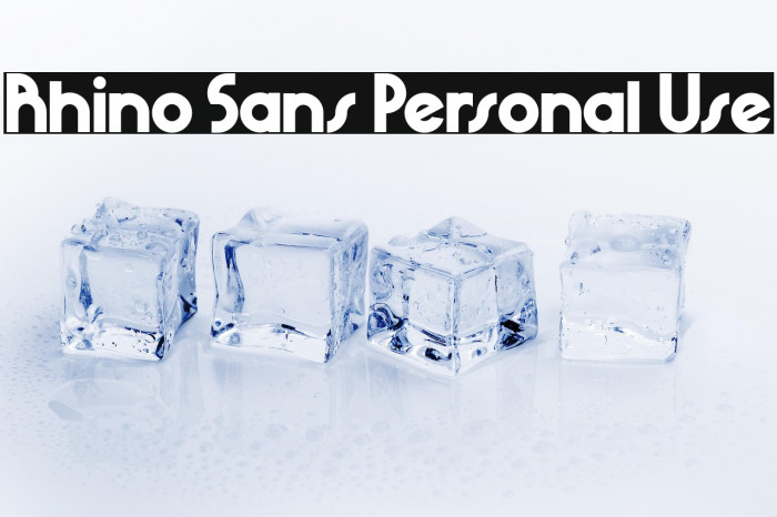 Rhino Sans Personal Use Example 2