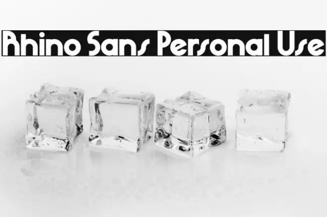Rhino Sans Personal Use Font examples