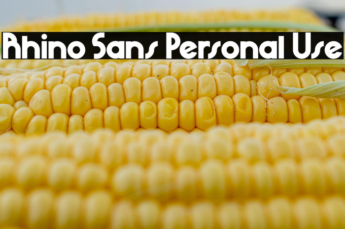 Rhino Sans Personal Use Example 3