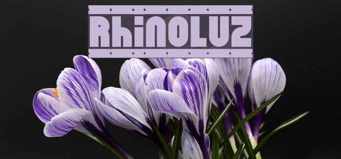 RhinoLuz Font examples