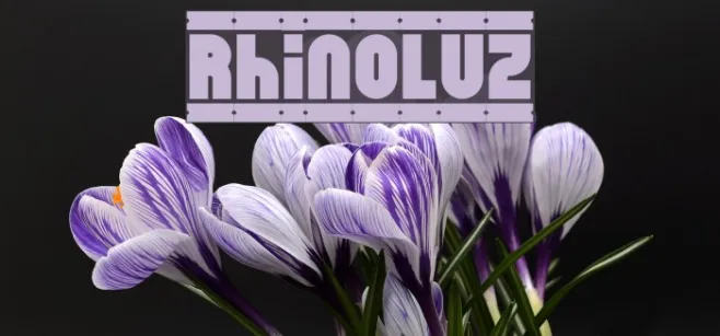 RhinoLuz Example 1