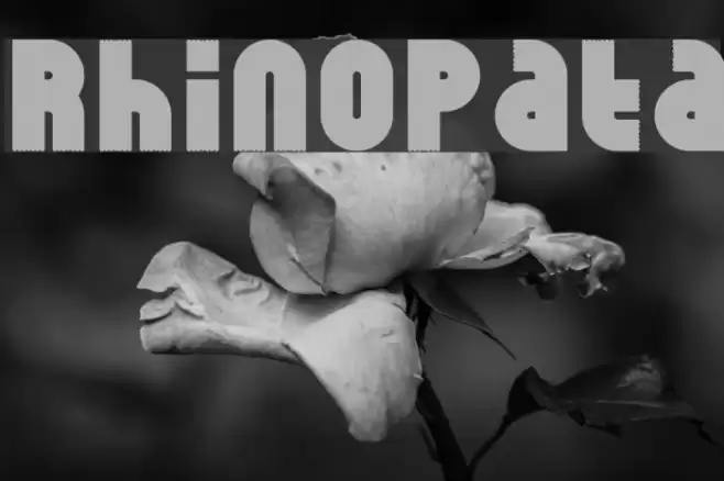 RhinoPata Font examples