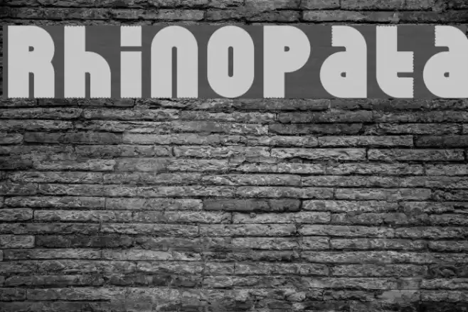 RhinoPata Font examples