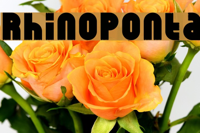 RhinoPonta Font examples