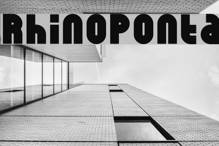 RhinoPonta Font examples