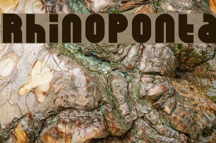 RhinoPonta Font examples