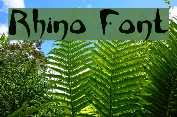 Rhino Font examples