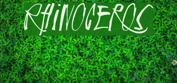 Rhinoceros Font examples