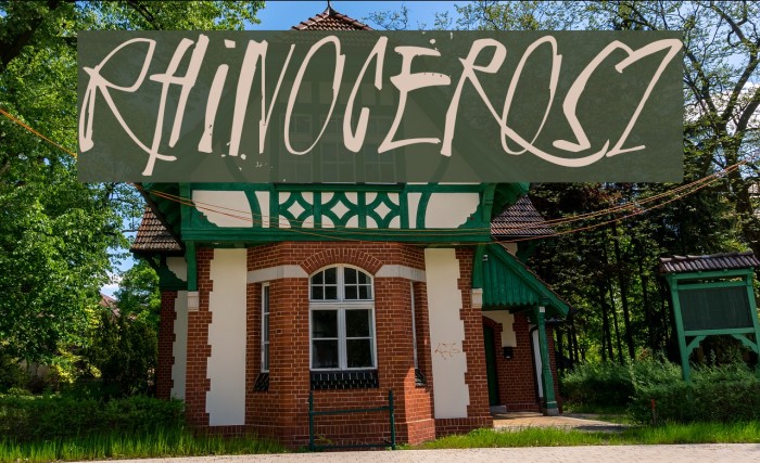 Rhinoceros2 Font examples