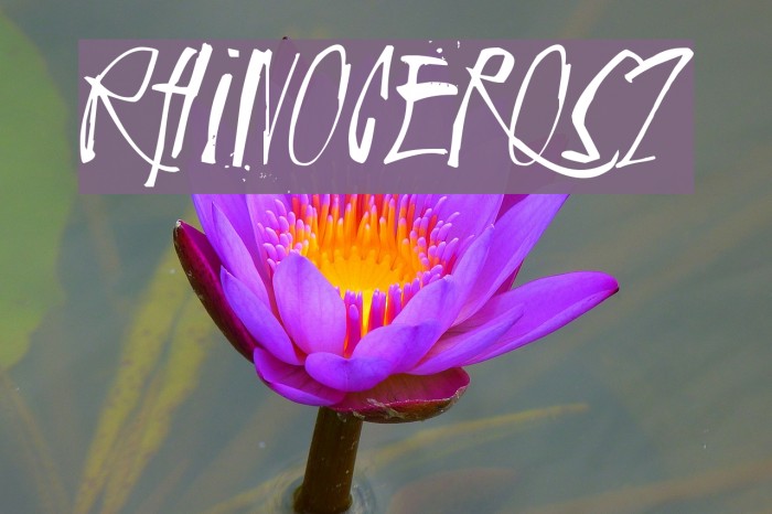 Rhinoceros2 Example 1