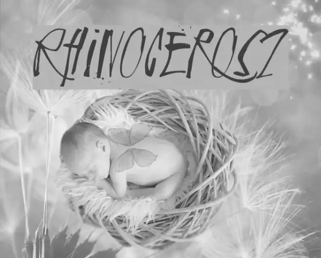 Rhinoceros2 Font examples