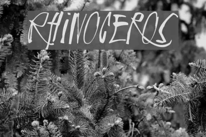 Rhinoceros Font examples