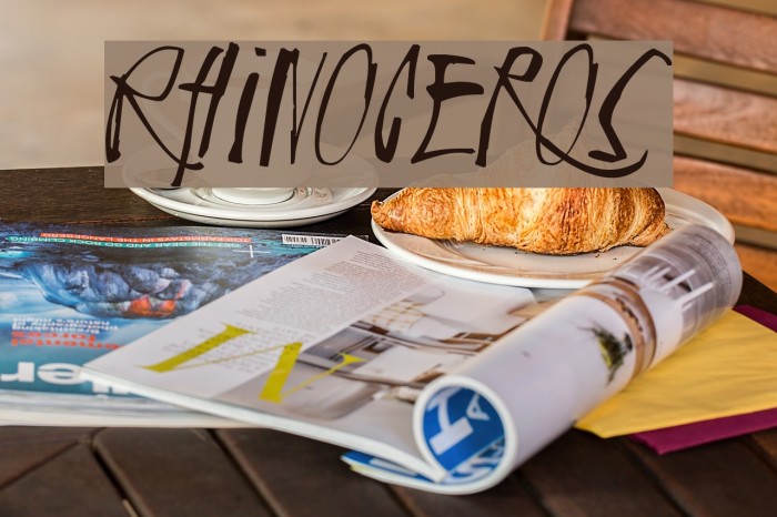 Rhinoceros Example 2