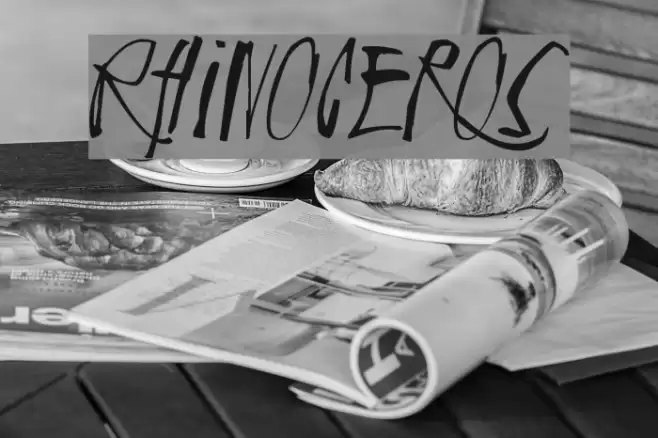 Rhinoceros Font examples