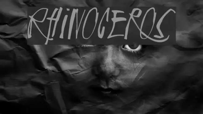 Rhinoceros Font examples