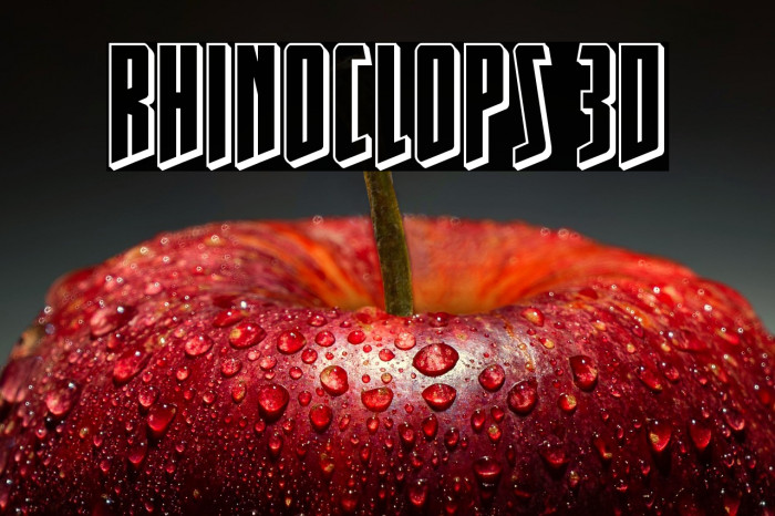 Rhinoclops 3D Example 1