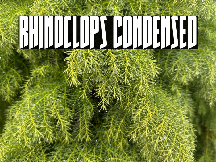 Rhinoclops Condensed Example 1