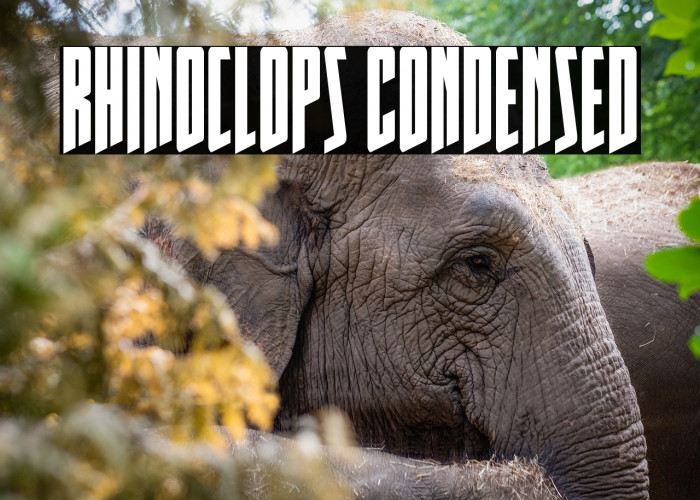 Rhinoclops Condensed Example 2