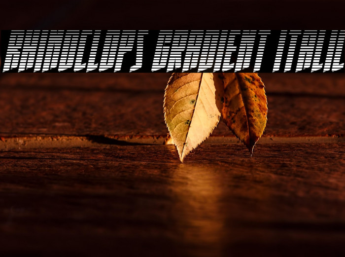 Rhinoclops Gradient Italic Example 3