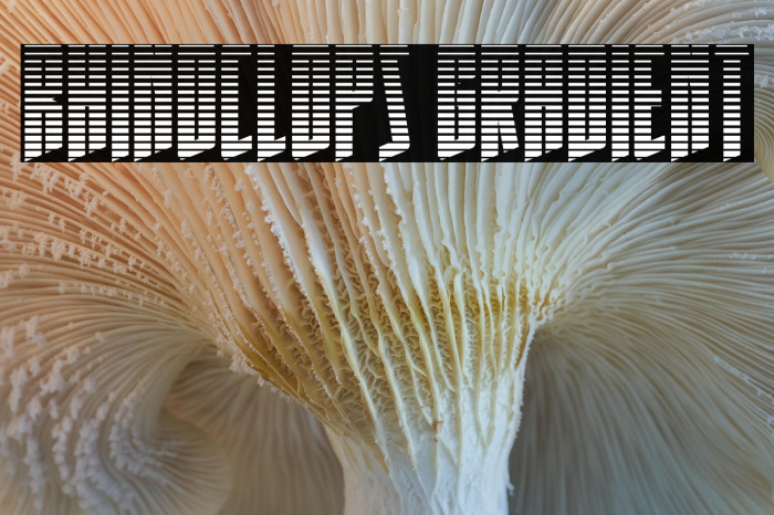 Rhinoclops Gradient Example 2