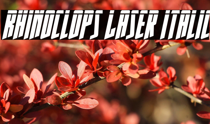 Rhinoclops Laser Italic Example 2