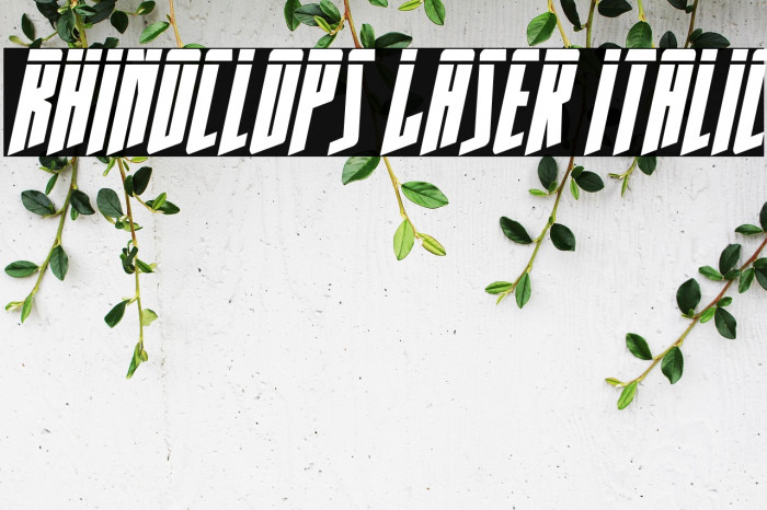 Rhinoclops Laser Italic Example 3