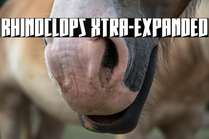 Rhinoclops Xtra-Expanded Example 3