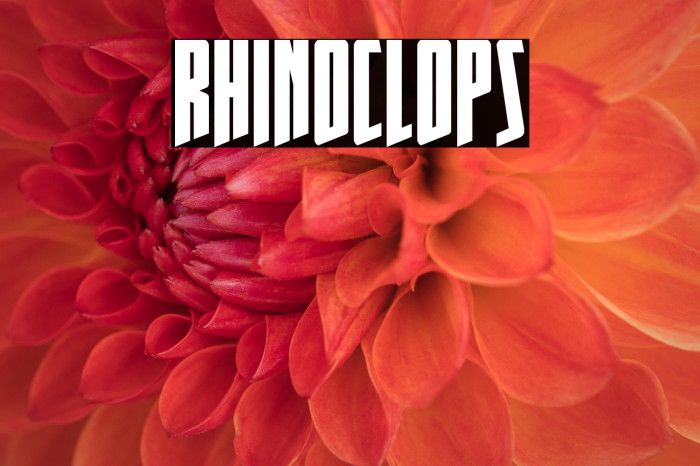 Rhinoclops Example 2