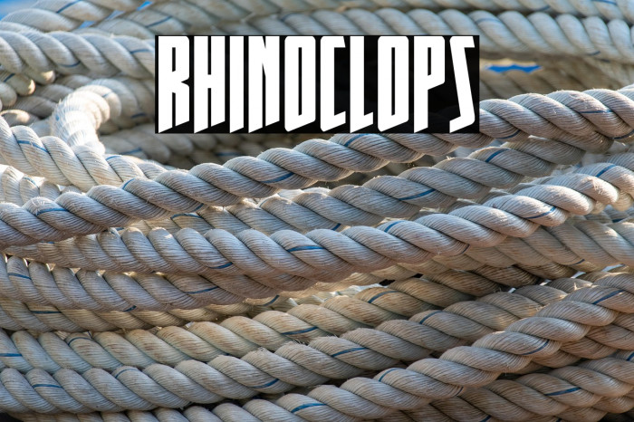 Rhinoclops Example 3