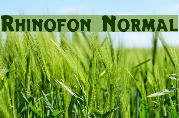 Rhinofon Normal Font examples