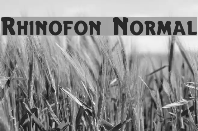Rhinofon Normal خط examples