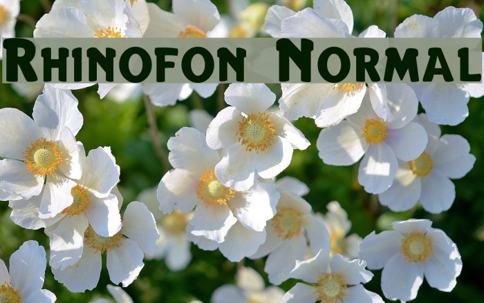 Rhinofon Normal Font examples