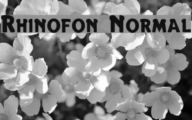 Rhinofon Normal خط examples