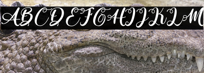 Rhinos Land - Personal Use Example 1