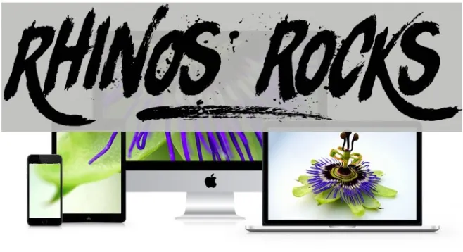 Rhinos rocks Example 1