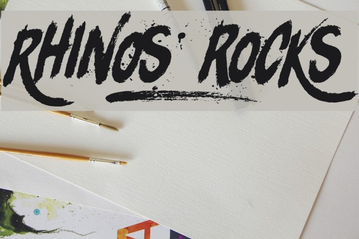 Rhinos rocks Example 2