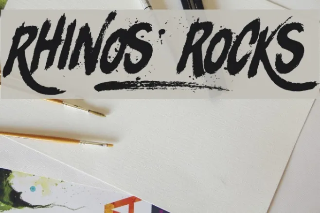Rhinos rocks Example 2
